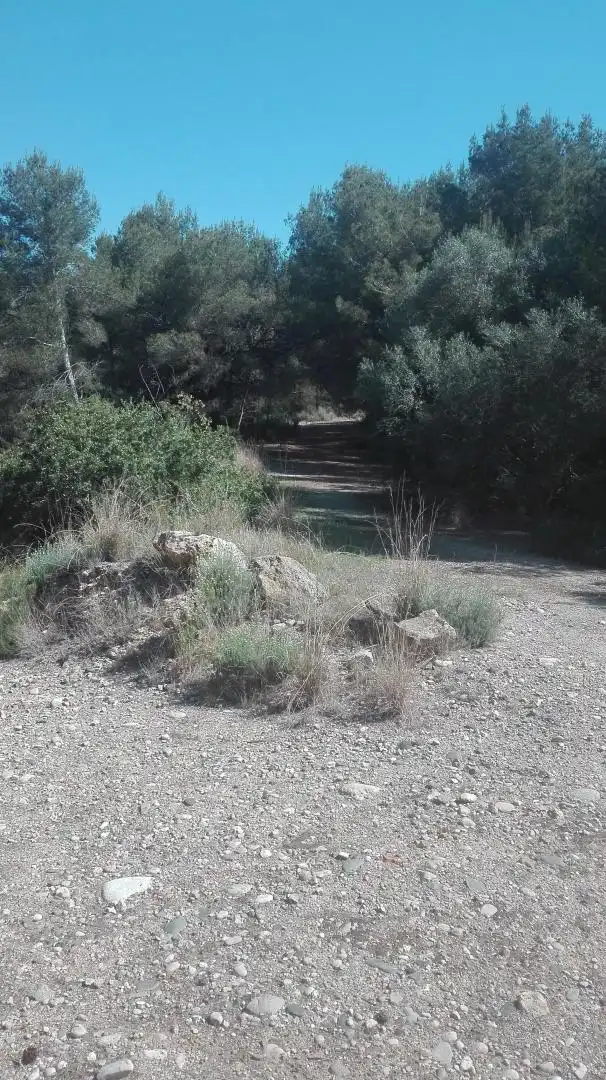 Terreni e lotti in vendita a Urbanitzacions de Llevant, imagen 3