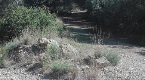 TERRENO RUSTICO, imatge 3
