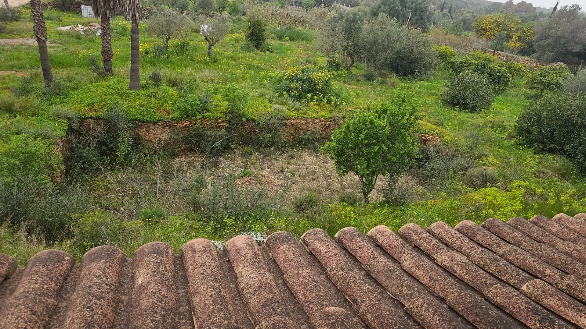 Finca rústica en venta en Marratxí con Aire acondicionado, Calefacción y Jardín privado