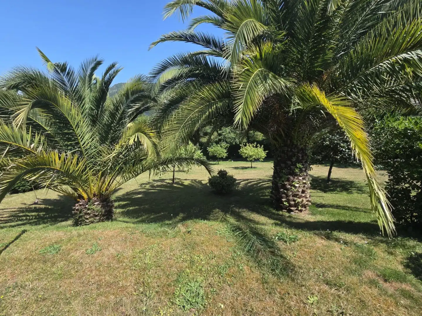 Rustikales Grundstück zum Verkauf in San Claudio - Trubia - Las Caldas, imagen 18