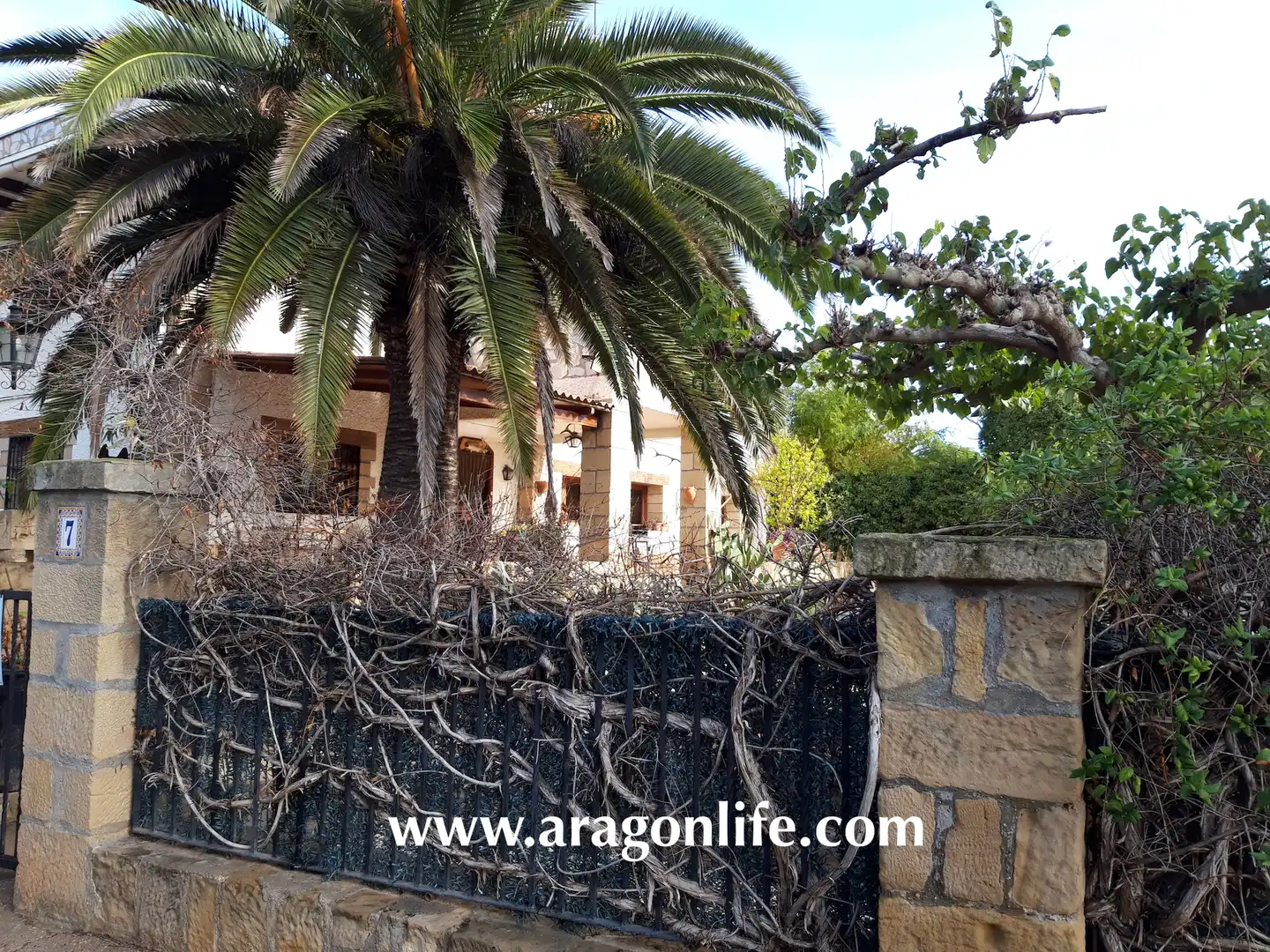 Jardí de Casa o xalet en venda en Caspe amb Aire condicionat, Calefacció i Jardí privat
