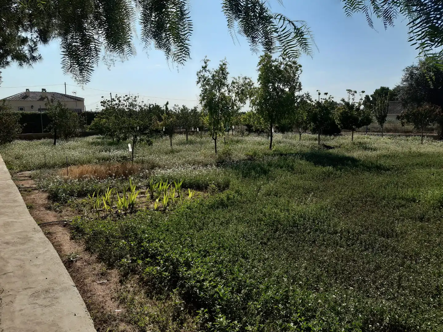 Terreny en venda en San Vicente del Raspeig / Sant Vicent del Raspeig
