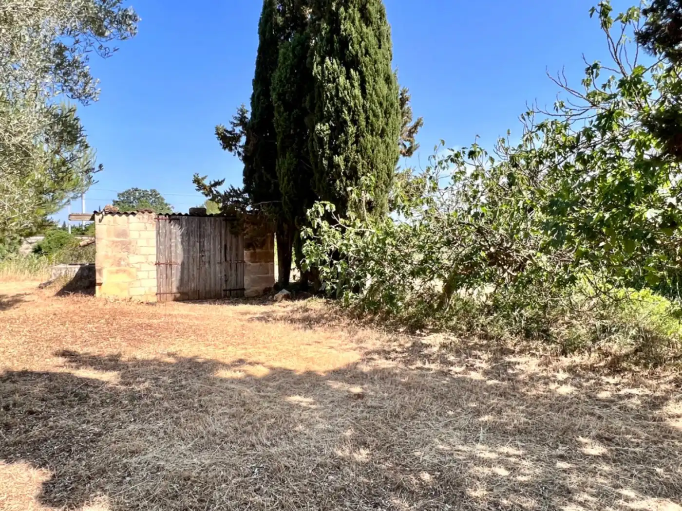 Maison rustique à vendre à Muro, imagen 15