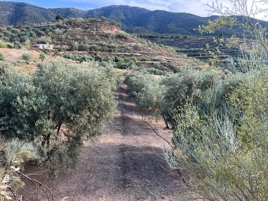 Casa rustica in vendita a El Valle, imagen 8
