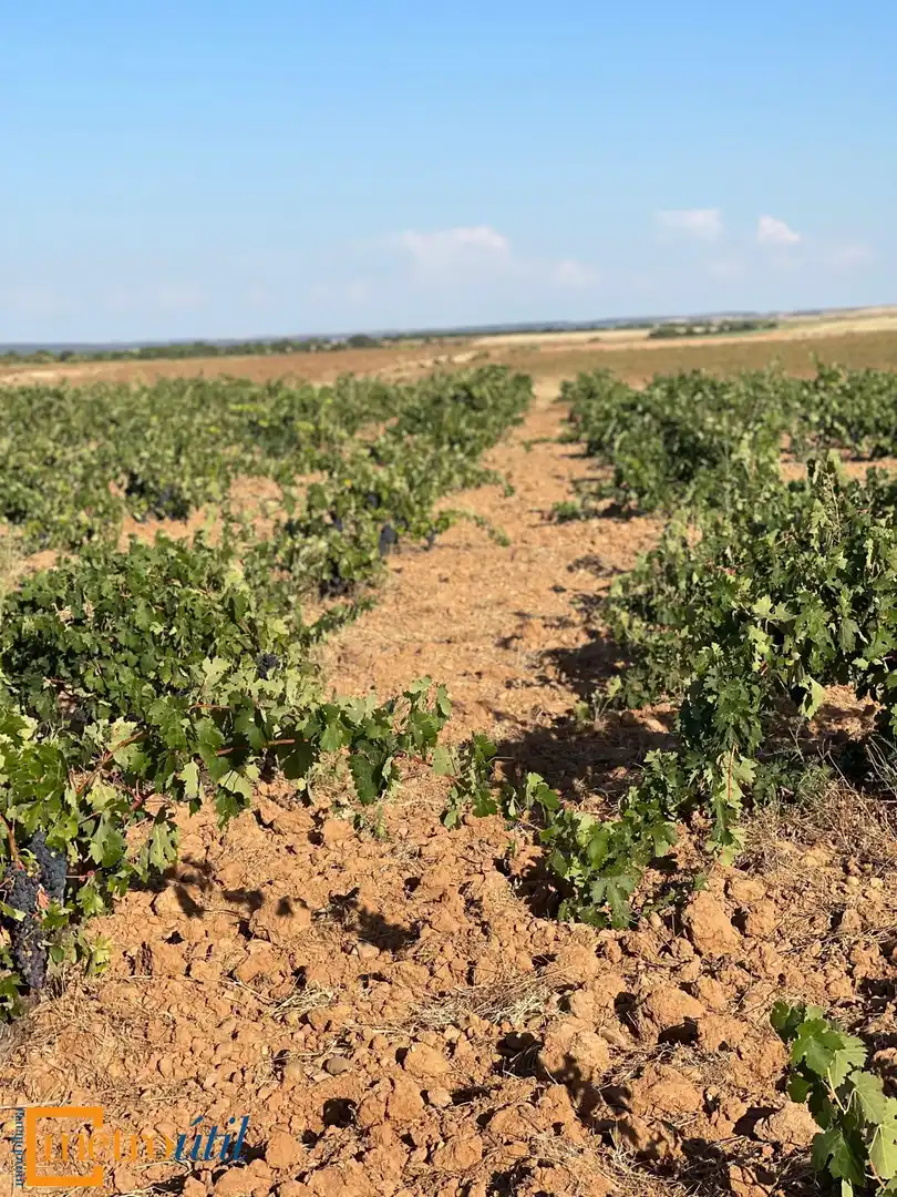 Land for sale in Toro