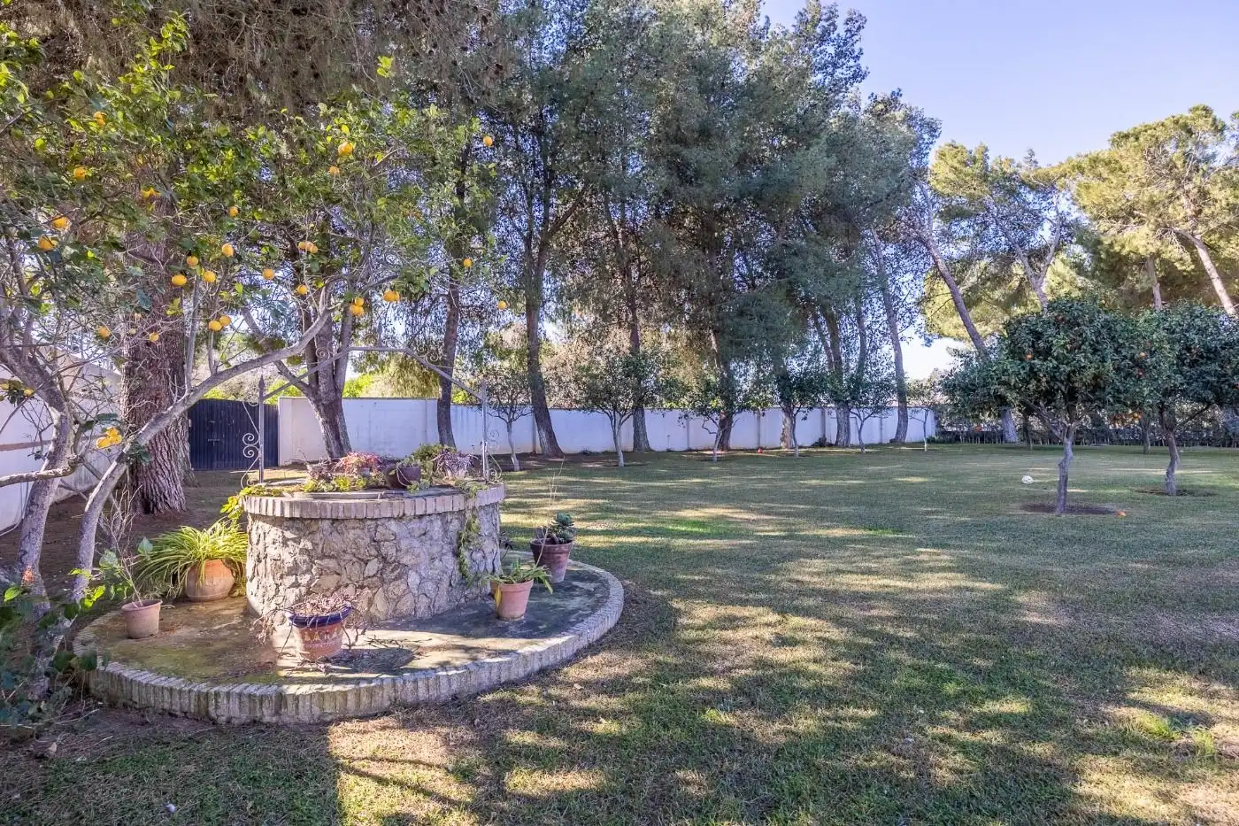 Jardín de Casa o chalet en venta en Carmona con Aire acondicionado, Jardín privado y Trastero