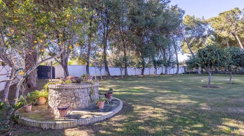 Foto 3 de Casa o chalet en venta en Calle el Castor, Carmona, Sevilla
