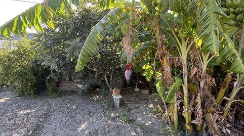 Foto 2 de Residencial de alquiler en Poligono, 8, Centro, Salobreña