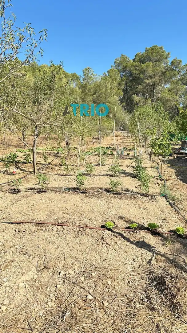 Terreno rustico in vendita a Algaida, imagen 7