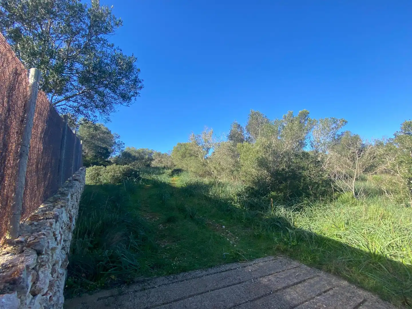 Grundstücke zum Verkauf in Santa Eugènia
