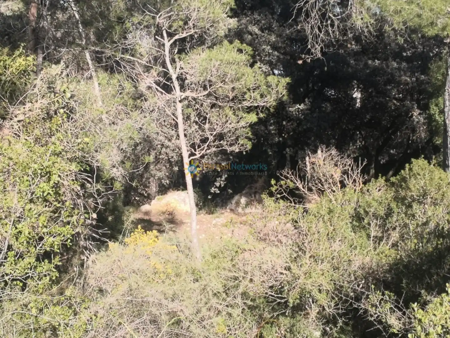 Finca rústica en venda en Muro de Alcoy amb Jardí privat i Traster