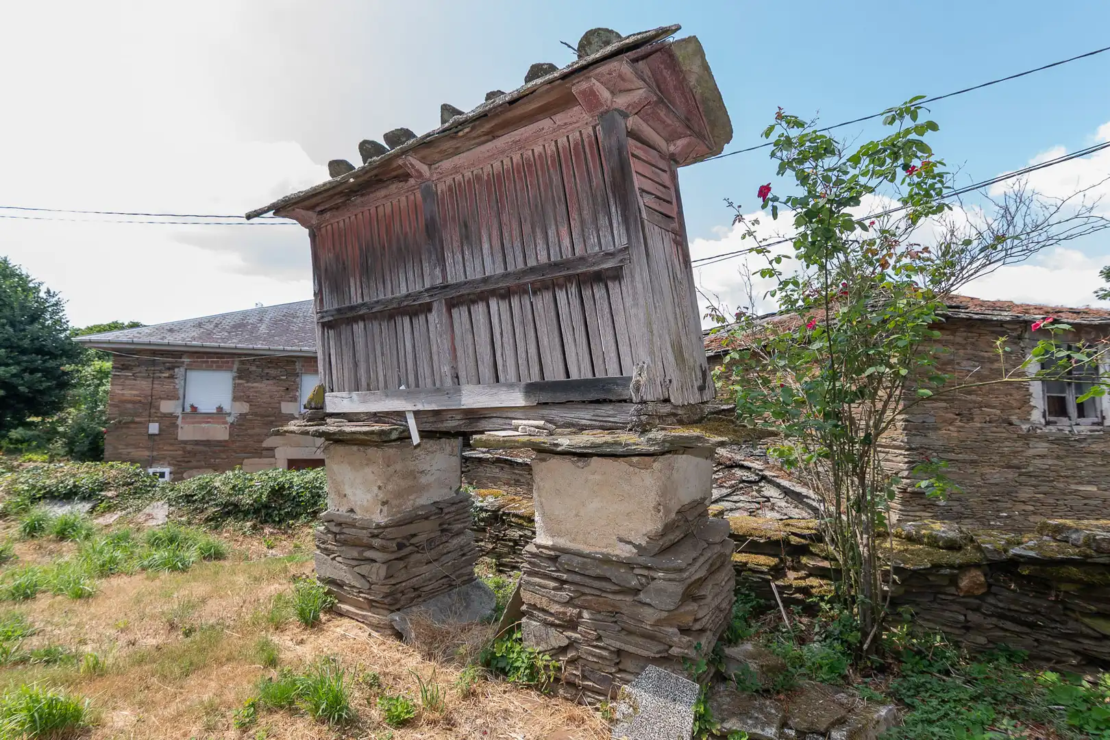 Vista exterior de Finca rústica en venta en Lugo con Amueblado