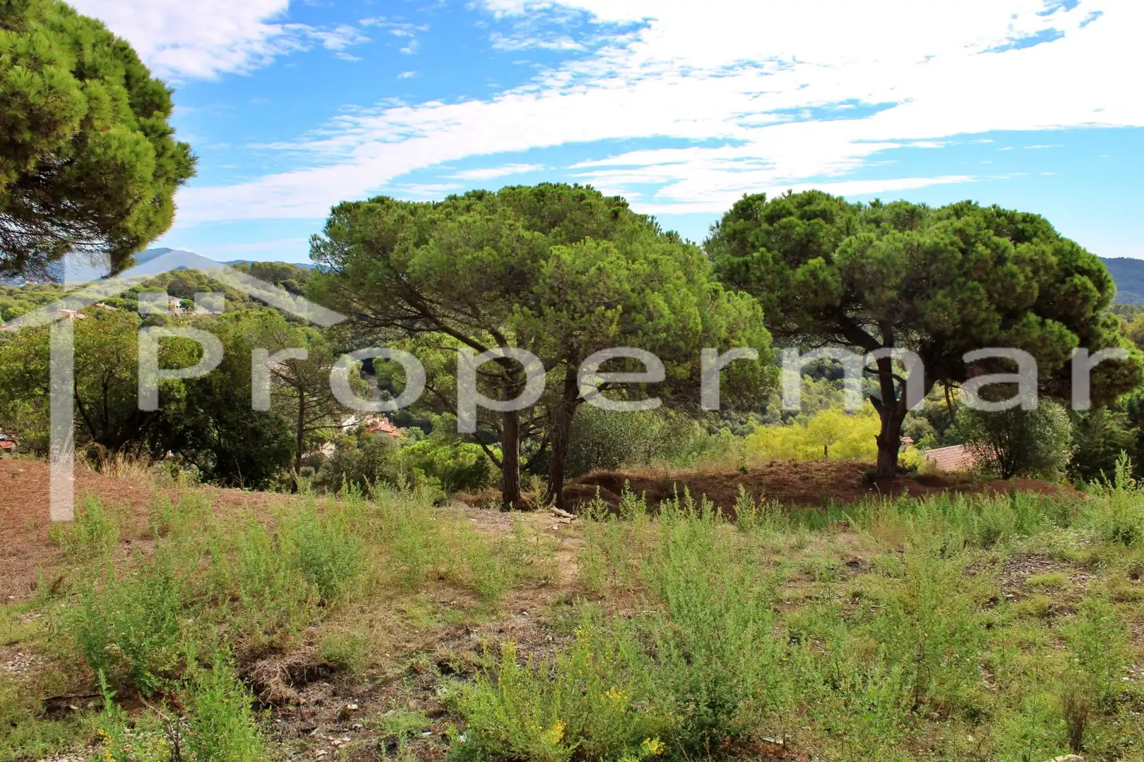 Terrains et parcelles à vendre à La Roca del Vallès, imagen 21