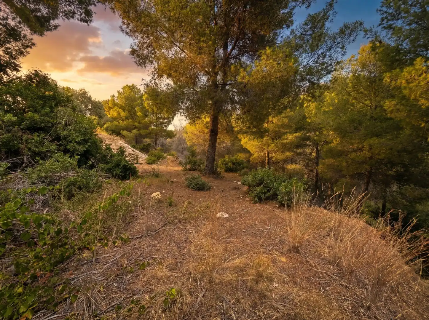 Terreno residencial en venta en Calle Calle Ferreret, imagen 4