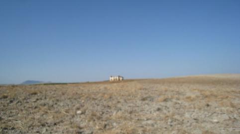 Foto 5 de Finca rústica en venda a Marchena, Sevilla
