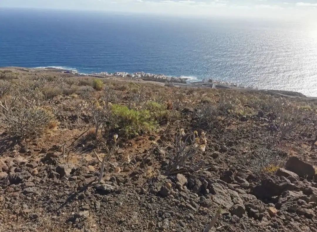 Rural land for sale in Carretera Güimar-Arafo, imagen 8