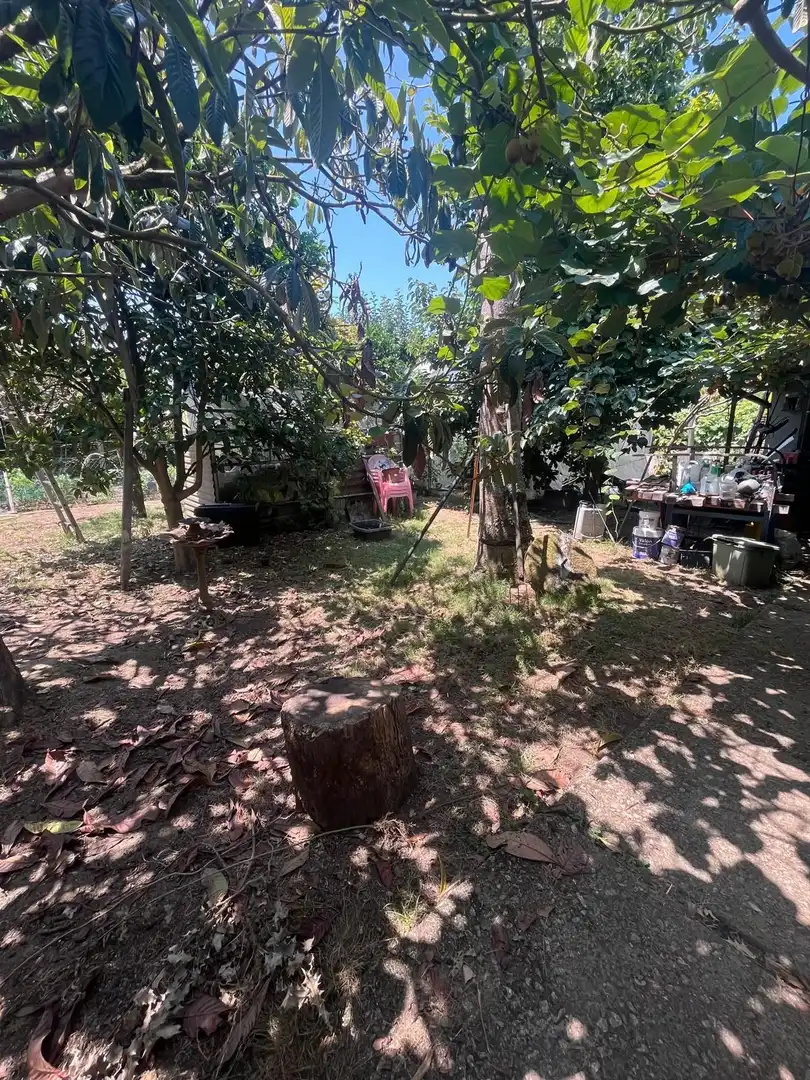 Maison à vendre à Silvas, imagen 77