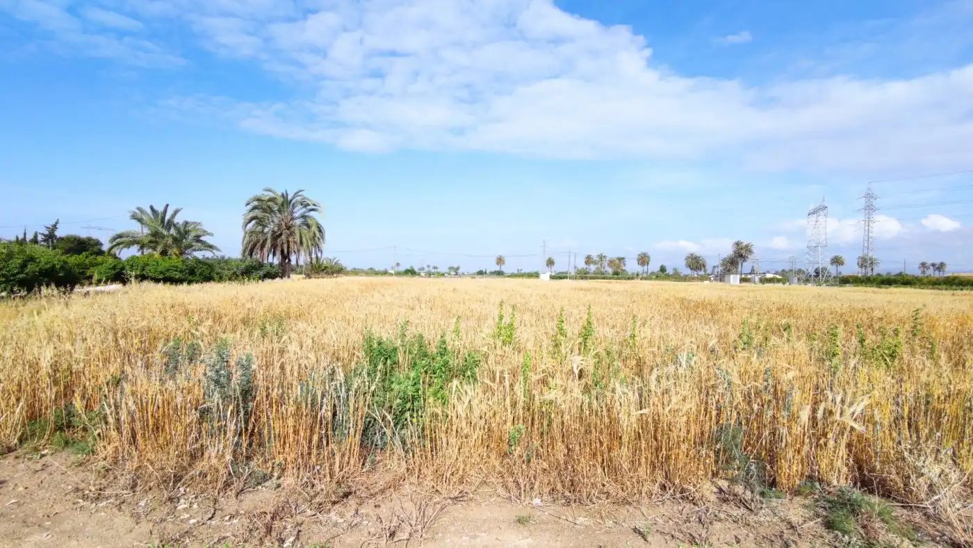 Villa con giardino in vendita a La Foia - Daimés - Asprella, imagen 3