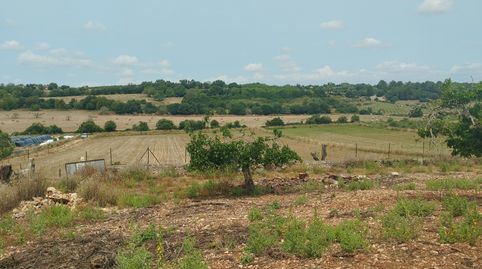 Finca con vistas panoramicas