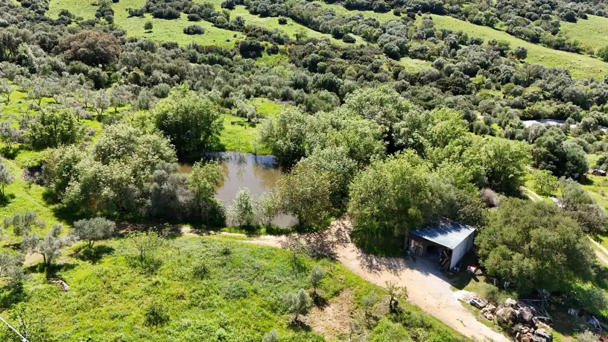 Casa rústica en venda a Gaucín, imagen 13