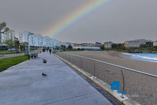 Local comercial en Alquiler en Playa Ostende