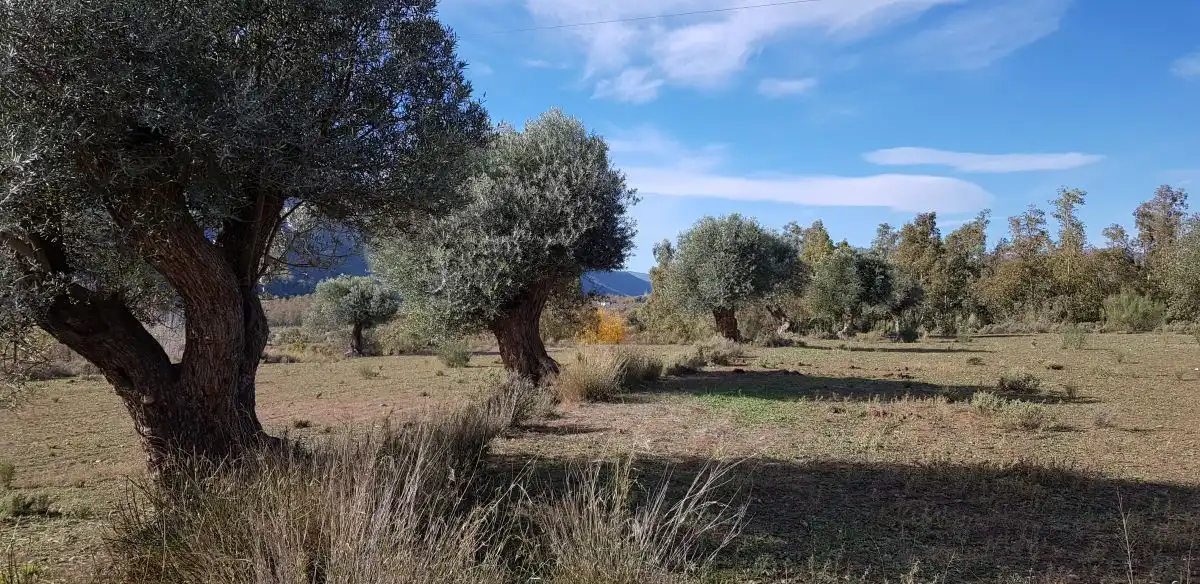 Terreni e lotti in vendita a Órgiva, imagen 2