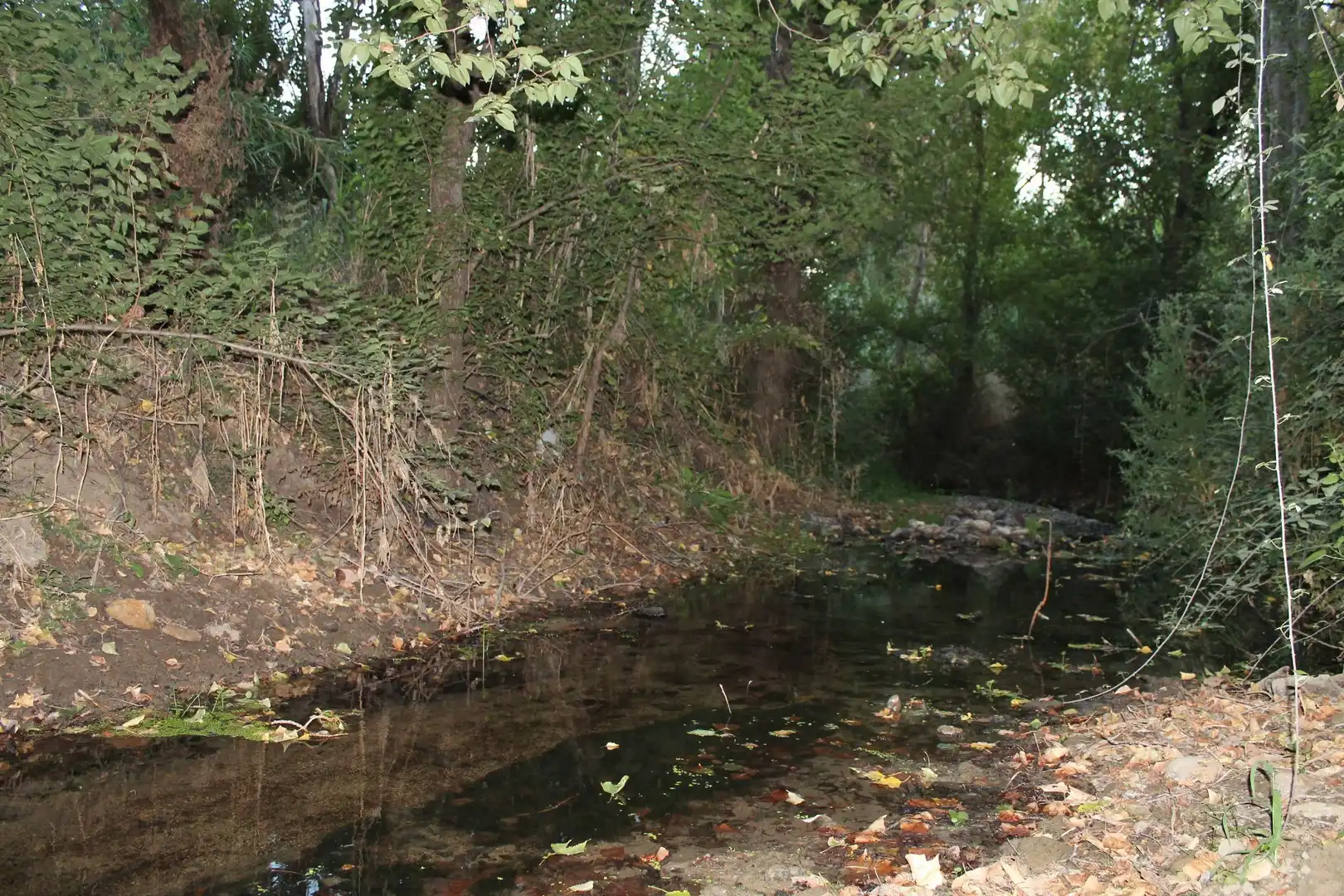 Casa rústica amb piscina en venda a Partidas Norte, imagen 68