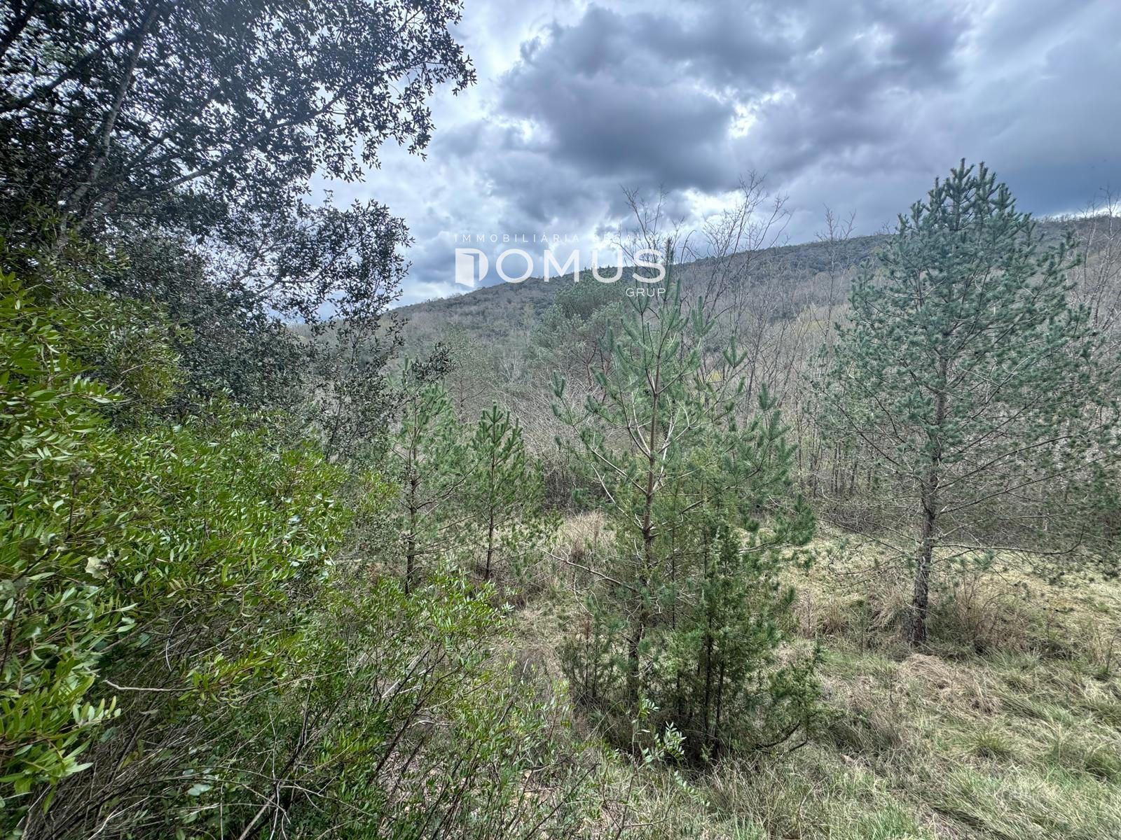 Country house for sale in La Vall de Bianya