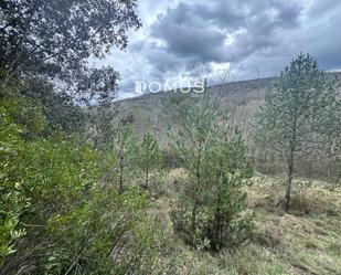 Finca rústica en venda en La Vall de Bianya