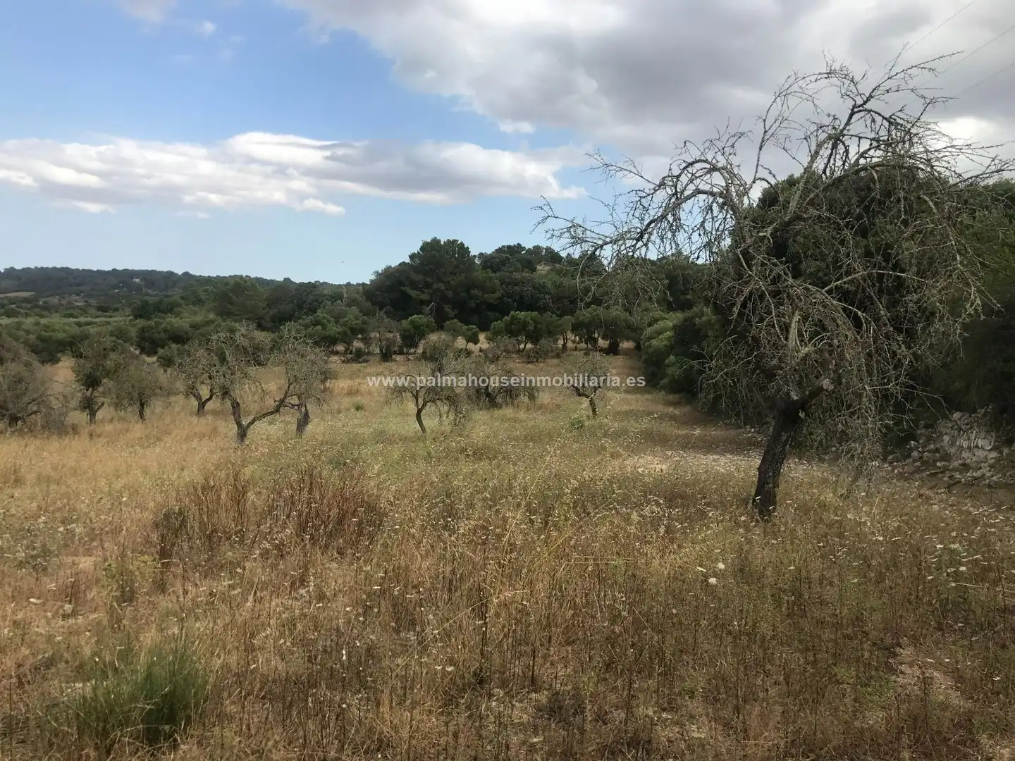 Finca rústica en venta en Maria de la Salut con Calefacción y Terraza