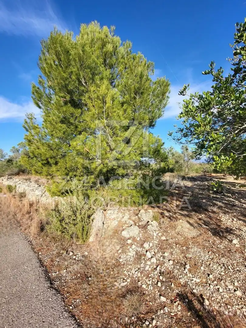 Casa rústica en venta en Traiguera, imagen 2