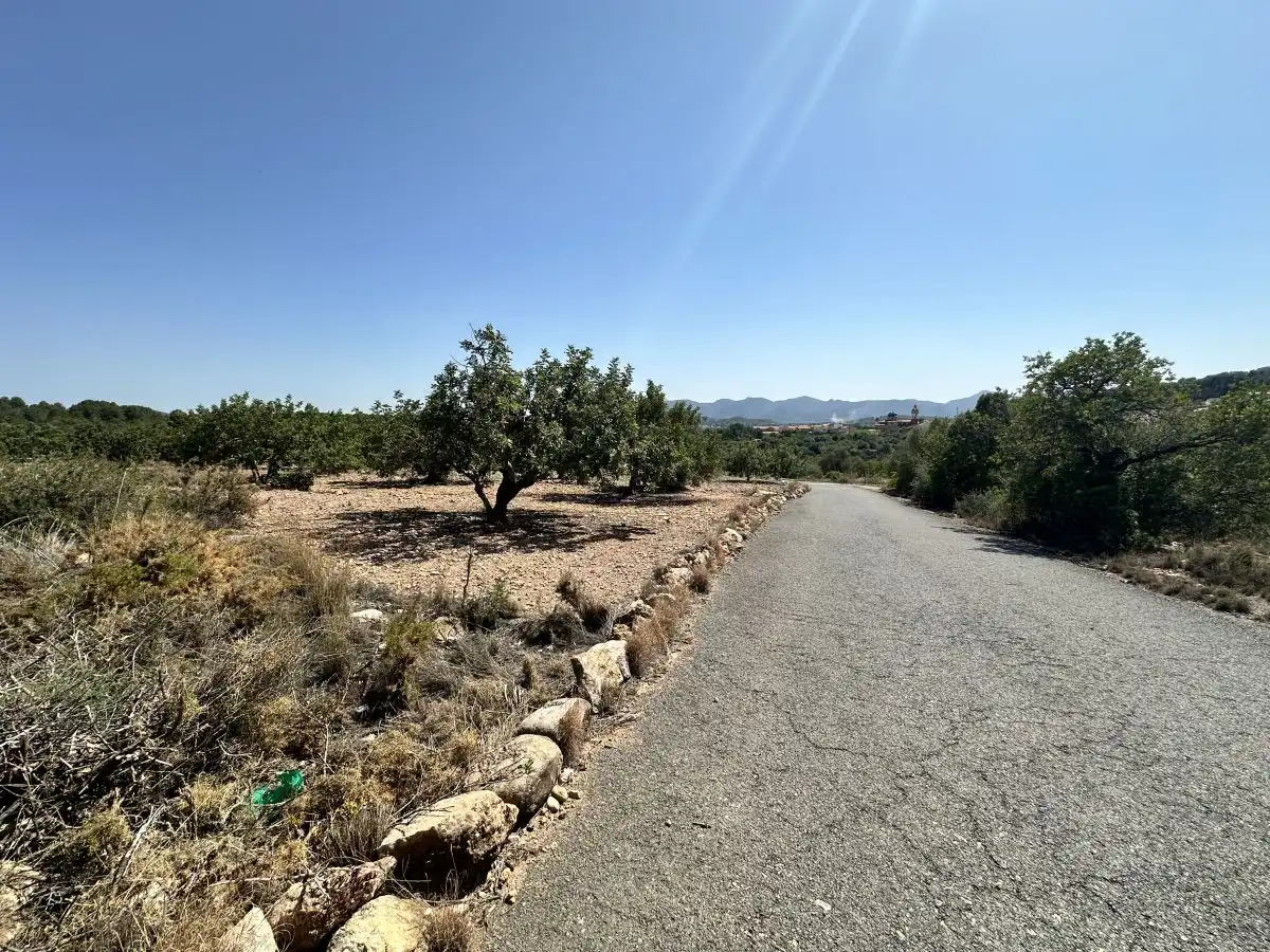 Terreno residencial en venta en Alfara de la Baronia, imagen 18