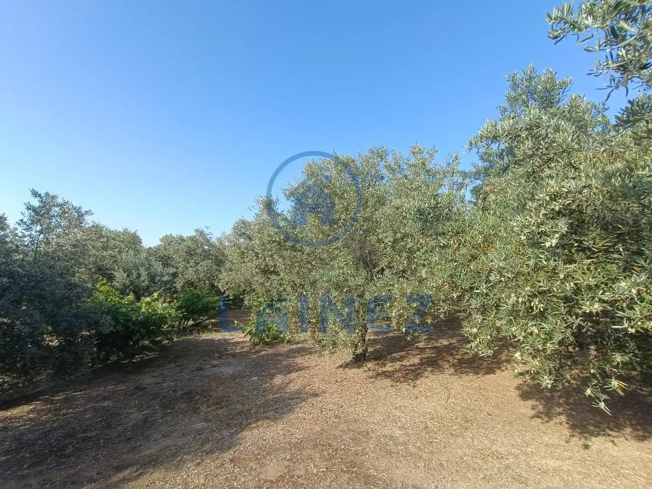 Grundstücke und Bauplätze zum Verkauf in Norte-Sierra, imagen 8