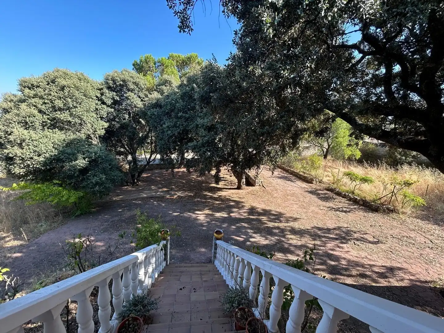 Jardín de Casa o chalet en venta en Hontoba