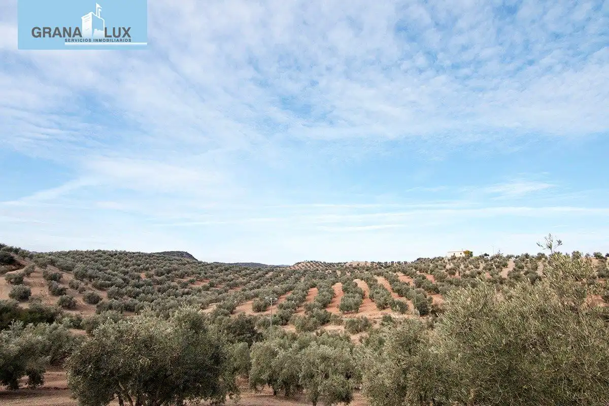 Country homes for sale in Loja