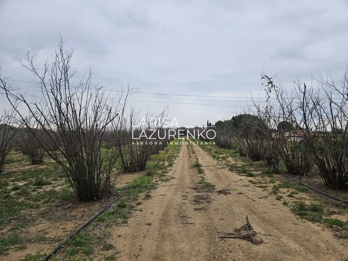 Finca rústica en venda en Riudoms