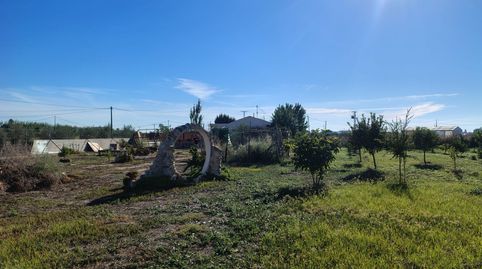 Foto 3 de Finca rústica en venta en Calle Doctor Ramón y Cajal, Cox, Alicante