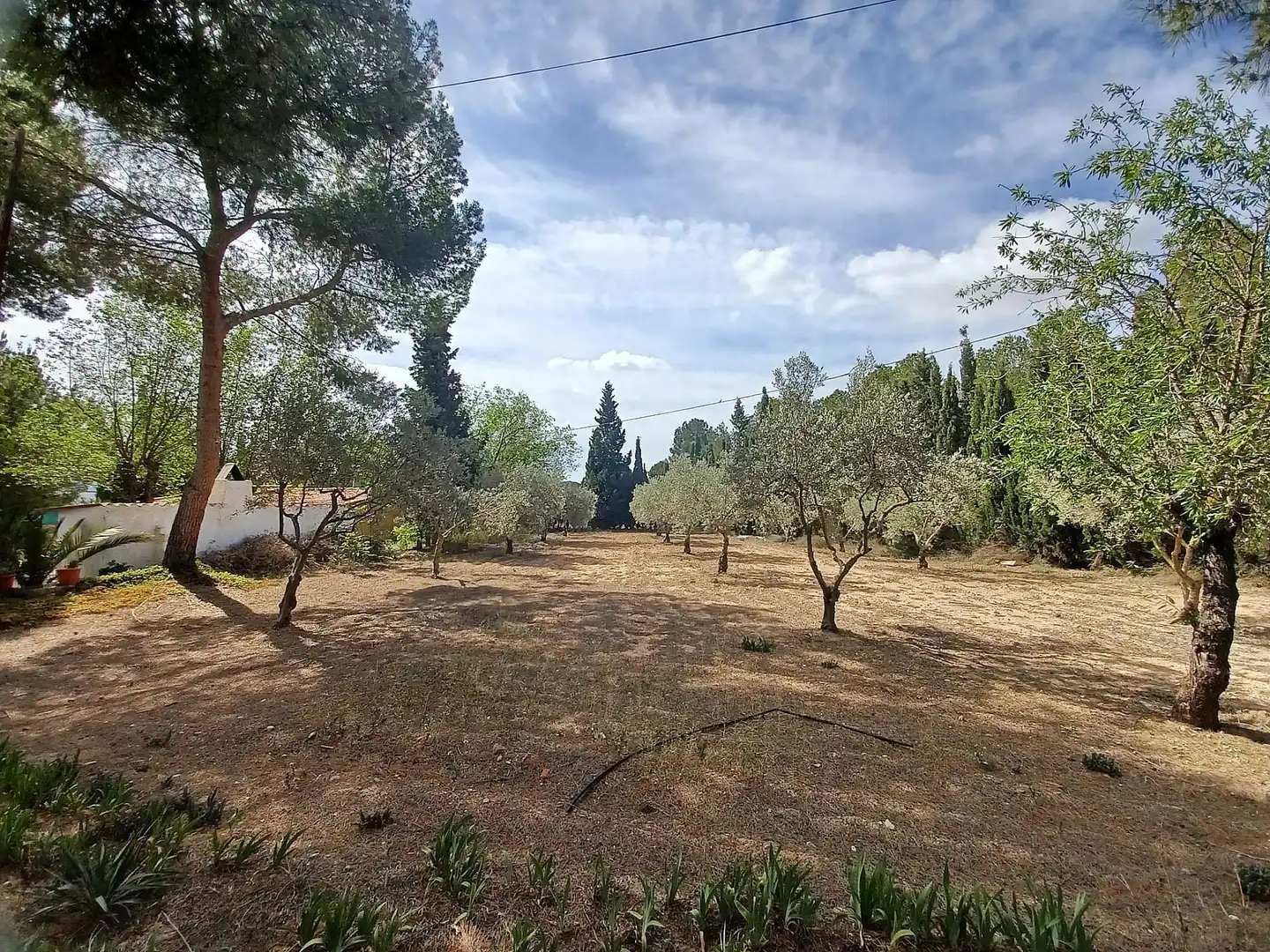 Villa à vendre à Sax, imagen 22