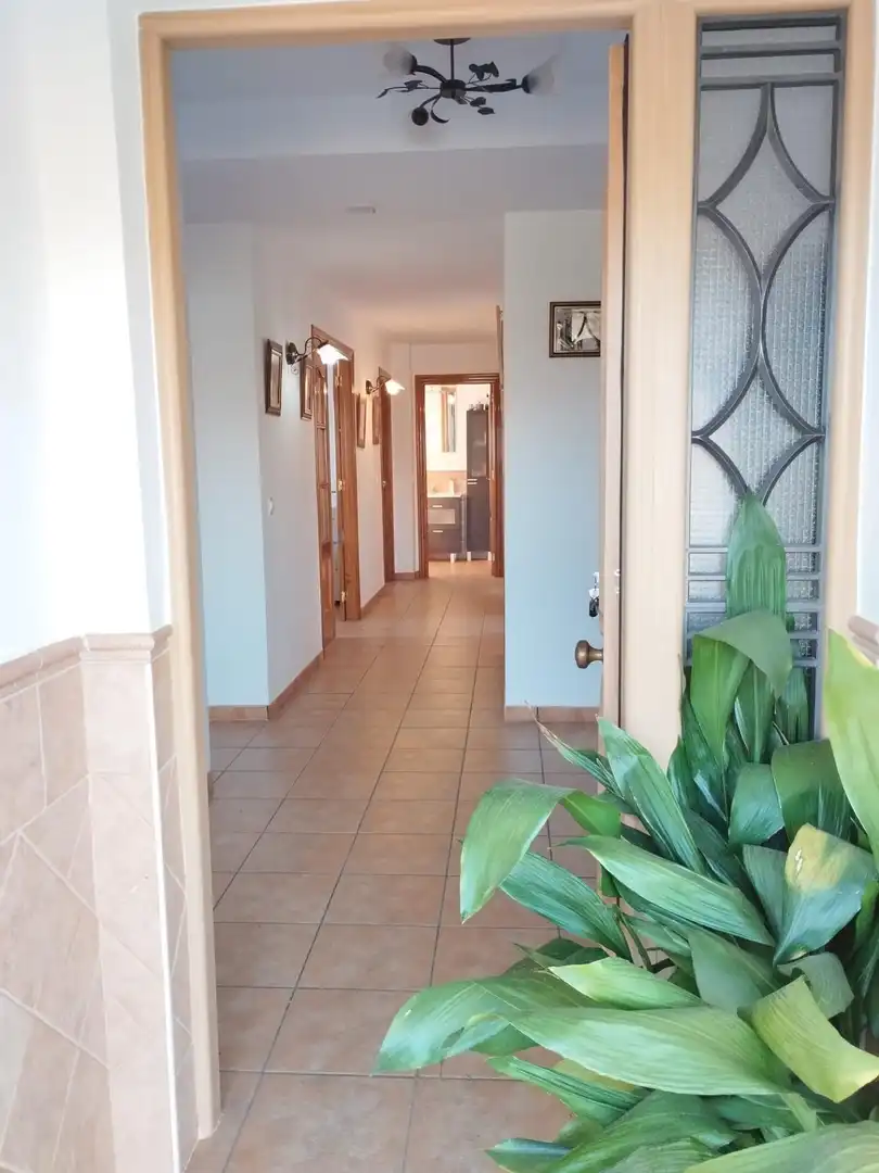 Casa rústica amb terrassa en venda a Camino Polígono 19 Parcela 224 ERMITA. ALBONDON (GRANADA, imagen 14