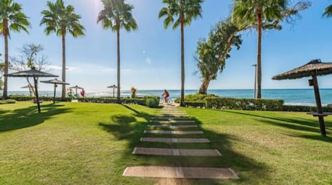 Foto 2 de Planta baixa de lloguer a Zona de Punta Plata, Estepona