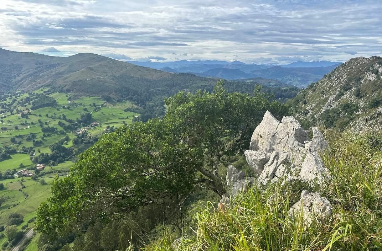 Vista exterior de Residencial en venda en Puente Viesgo