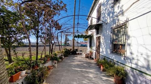 Photo 3 of Houses for sale in Camino de Purchil, 48, Camino de Ronda, Granada Capital