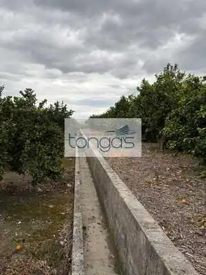 Rustikales Grundstück zum Verkauf in Xàtiva, imagen 14