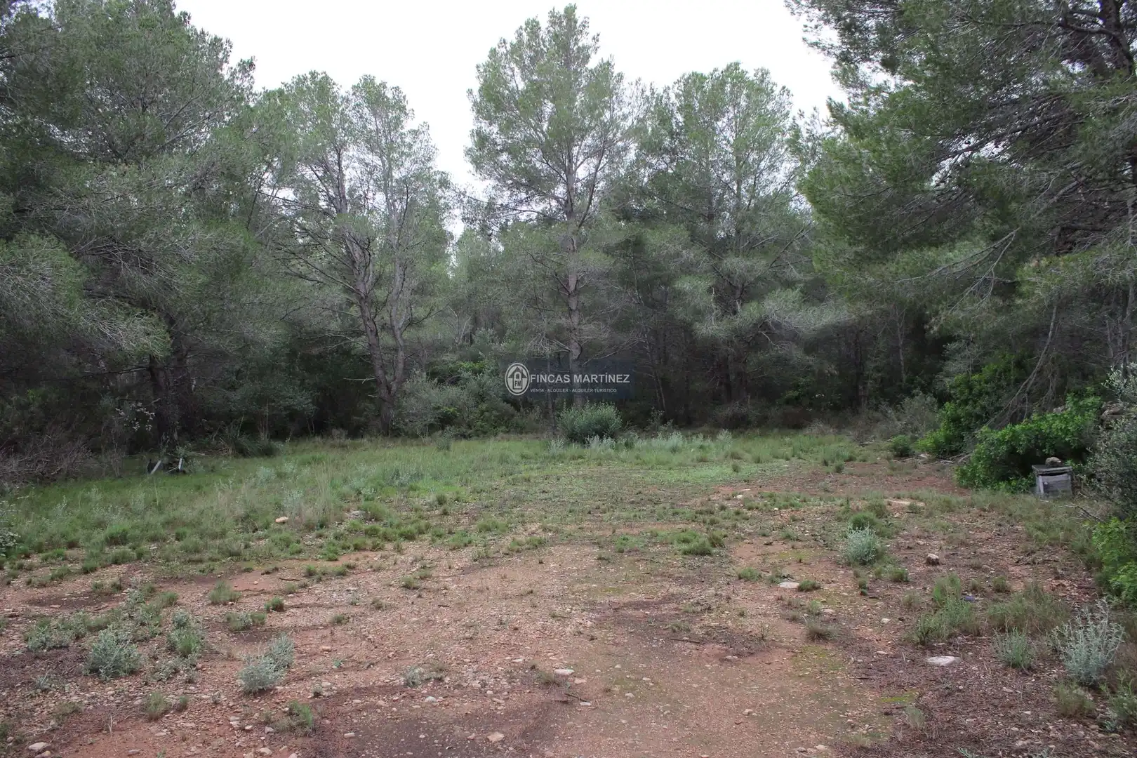Terrenys i solars en venda a partida torres novas  lindante con el barranco porquerola y a poniente con el termino de pradit  es la parcela  del poligono, imagen 8