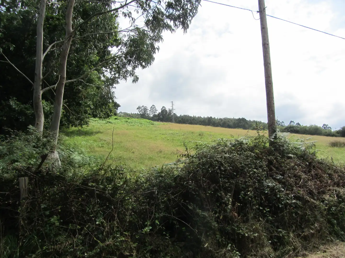 Terreny residencial en venda a Camin de los Payares, imagen 9