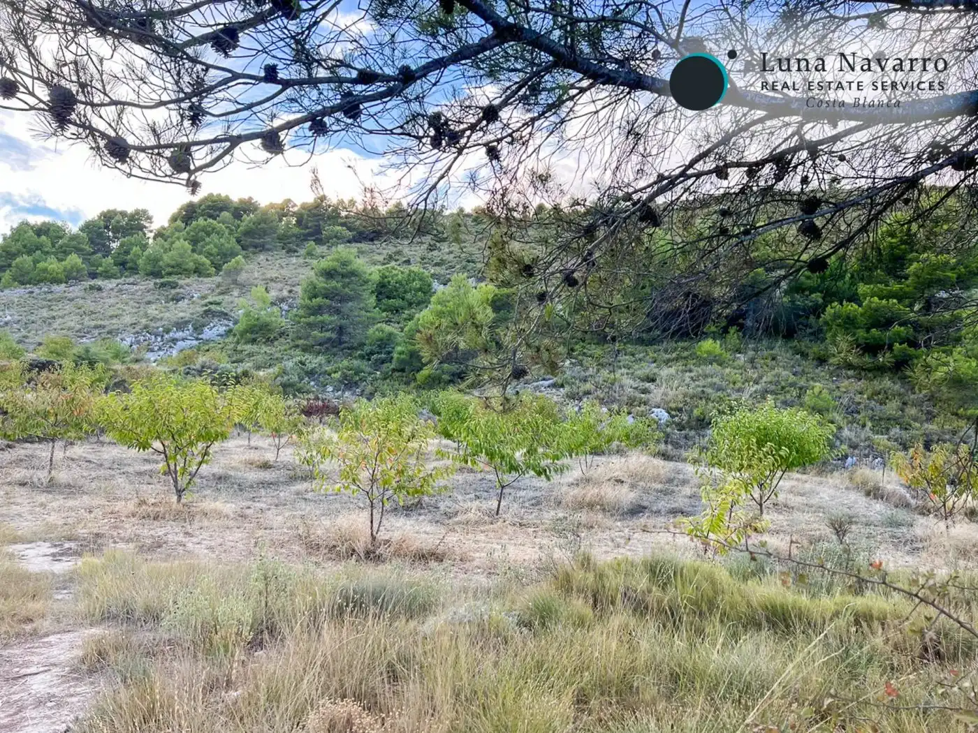 Terreno en venta en Calle San Antonio, 50, Confrides