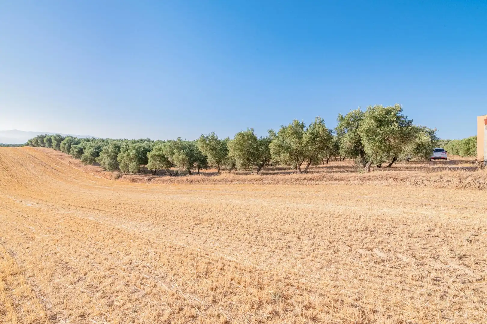 Apartments for sale in Santa Fe