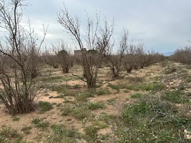 Terrenys i solars en venda a PDA PLANES DEL ROQUÍS POL 3 PARC. 47, imagen 5