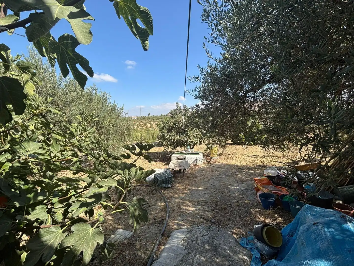 Casa rústica amb piscina en venda a Camino de Los Javieles, imagen 23