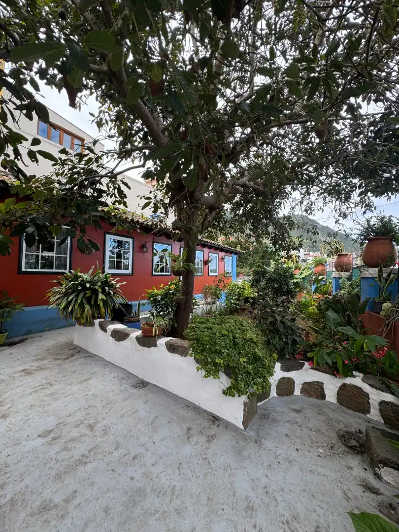 Vista exterior de Casa o xalet en venda en Los Realejos amb Jardí privat, Moblat i Internet